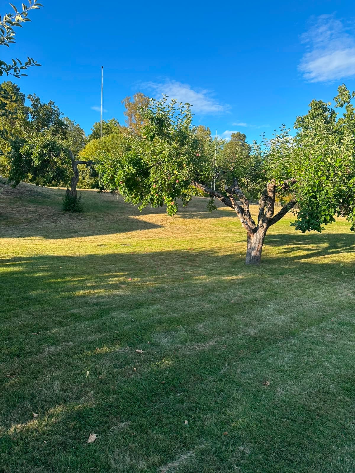 Salvägen 52 – villa i Eskilstuna, bild 6 av 29